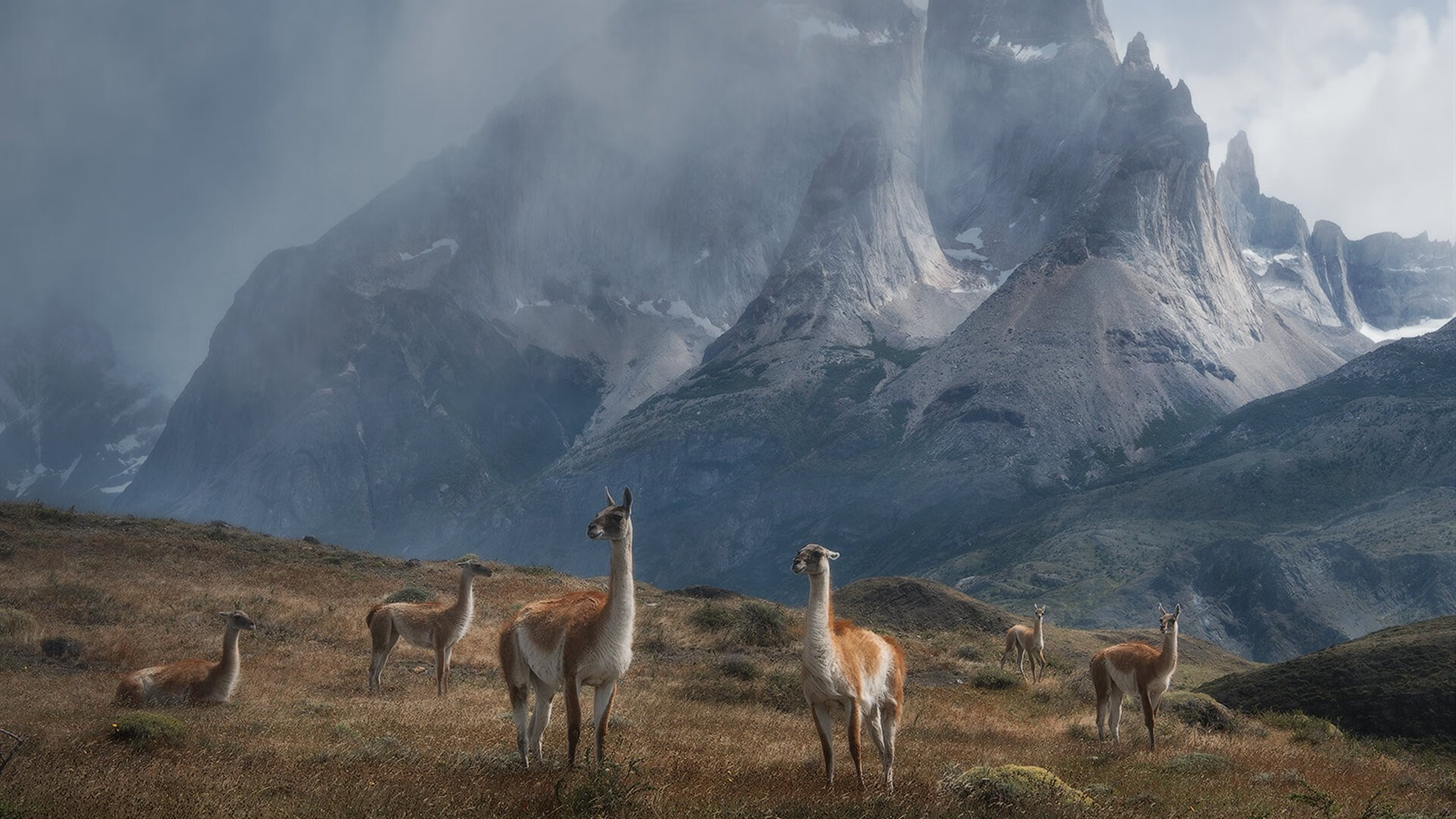 开云体育官网-_大桥跑：城市奇观中的极限运动挑战_，下载大桥快跑