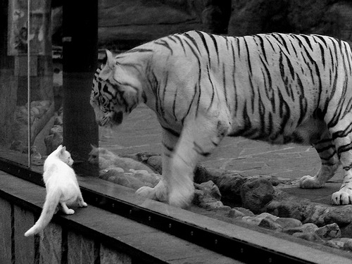 _欧洲红土赛季:场场精彩,期待冠军归属_,欧洲红土网球场