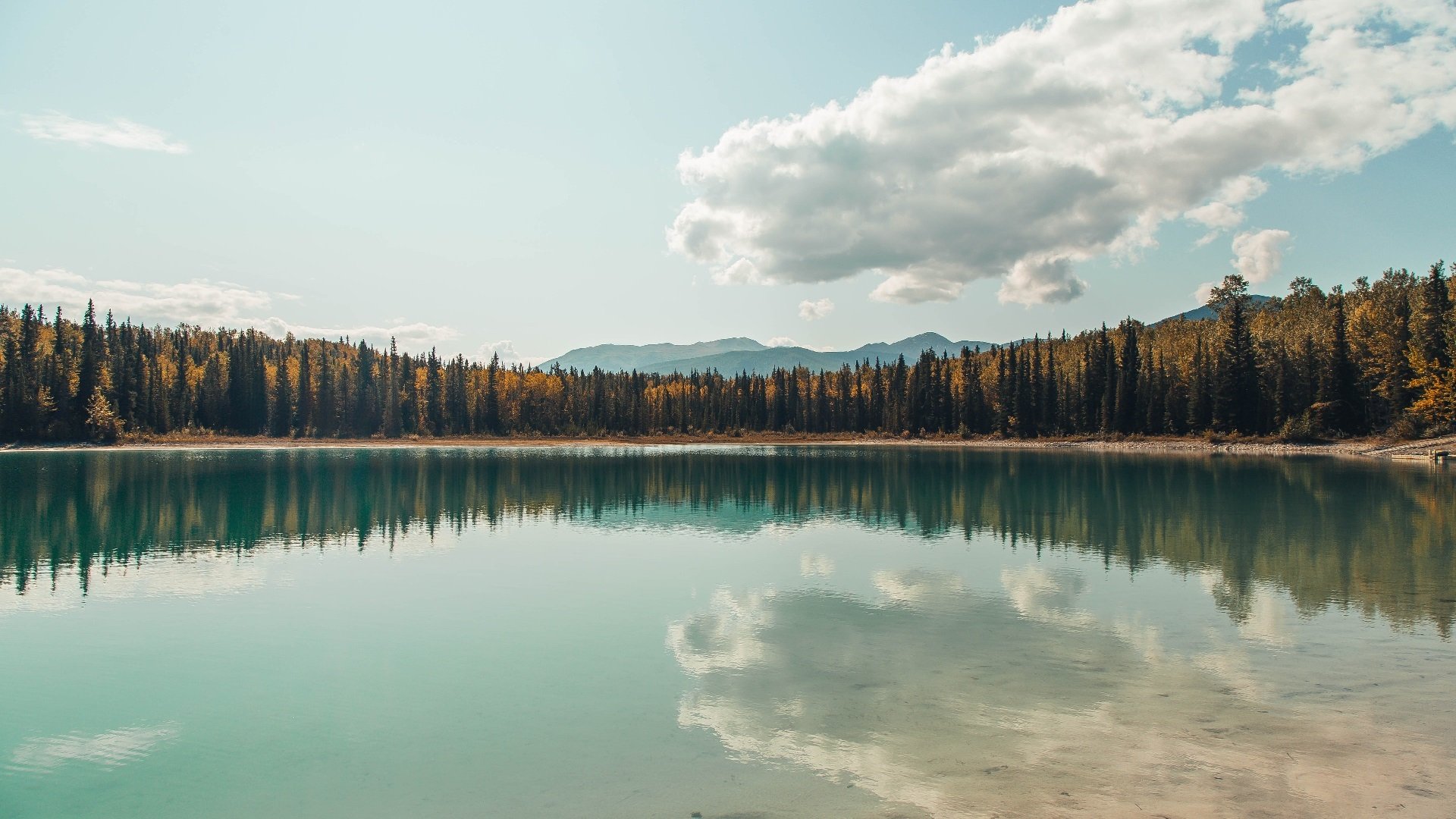 _高空秋千挑战:在悬崖边感受刺激_,高空秋千是近年来在各大景区兴起的娱乐项目之一