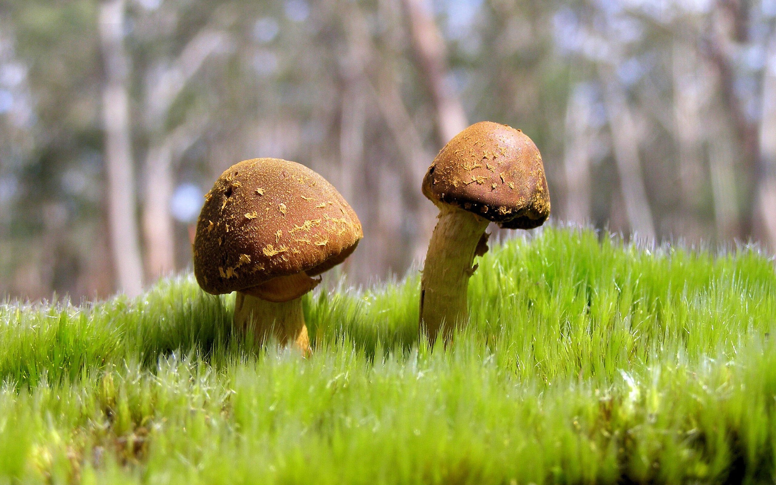 开云-“西甲关键比赛：豪门争霸，场面火爆，战局胶着”，西甲豪门有哪些