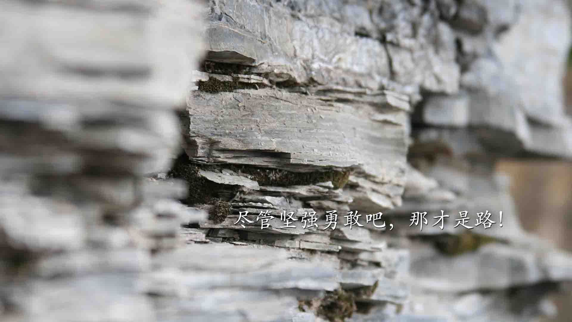 女子短跑接力再破亚洲纪录,刷新奥运希望,2021女子短跑