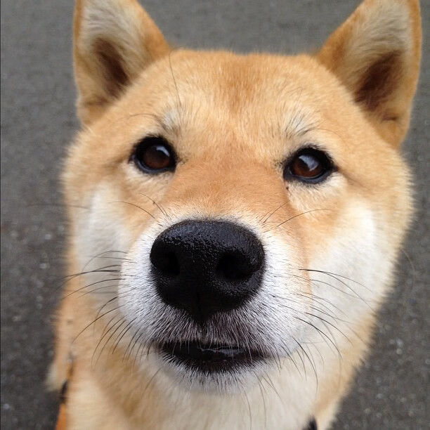 普拉提课程在高端健身俱乐部中占据重要地位，普拉提健身培训哪里好