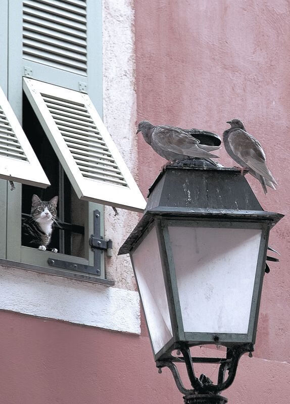 kaiyun sports safe-皇马坐稳西甲榜首，追赶者压力山大，时隔5年皇马重夺西甲冠军 浅谈皇马本赛季5大赢球关键