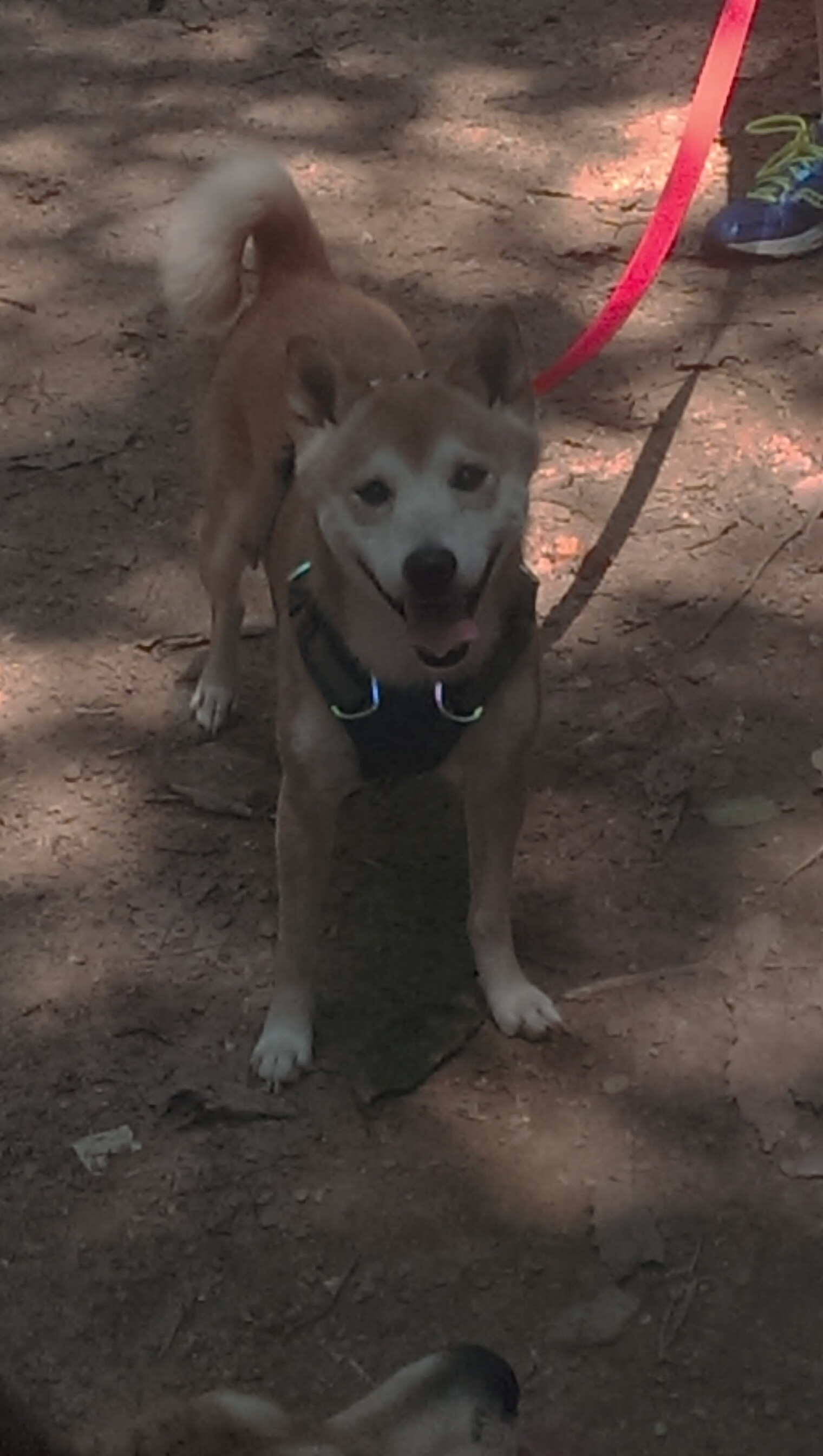 开云体育平台APP-电竞产业链协同发展态势良好，电竞产业推动其他产业