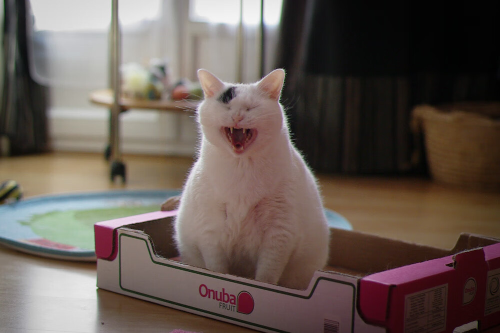 英超：曼城3-1阿森纳，哈兰德迎来连续得分高潮，曼城vd阿森纳