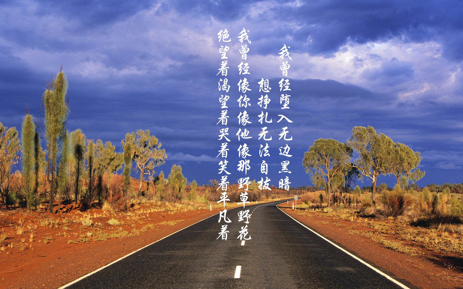 青少年极限绳索攀爬,跃上未知的高度,绳索攀登