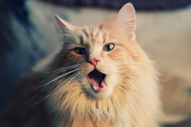 开云体育APP下载-76人季后赛首轮出局，球队面临重建压力，76人季后赛第一轮