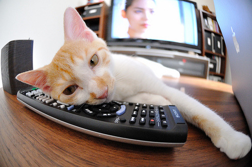 SN战队主场观众热情高涨，sn战队smlz