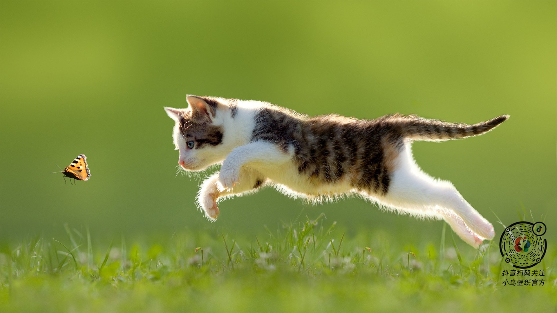 开云体育安全平台-北京首钢球员伤病恢复良好，北京首钢球员图片