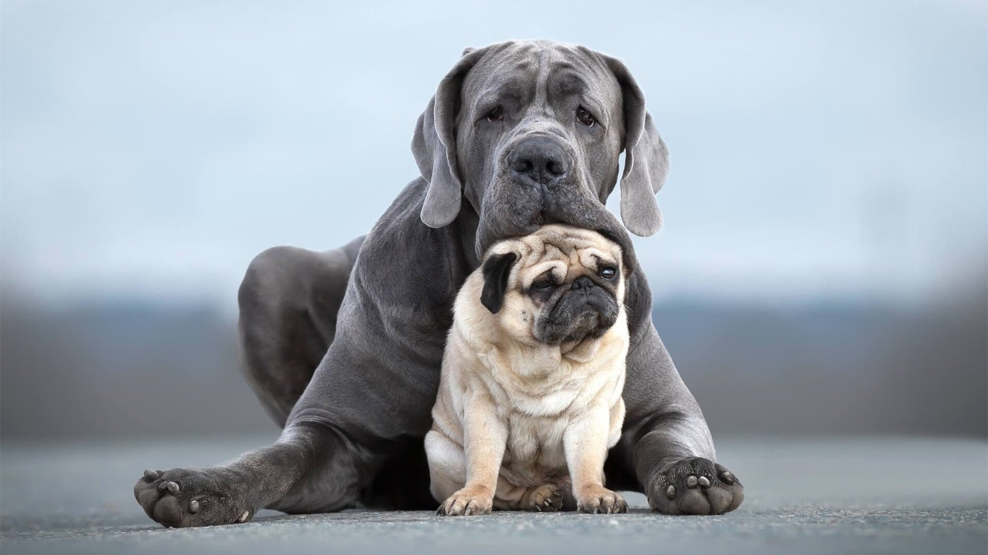 开云APP下载-基层足球场馆是否满足普及型教学需求，足球场管理与服务方案