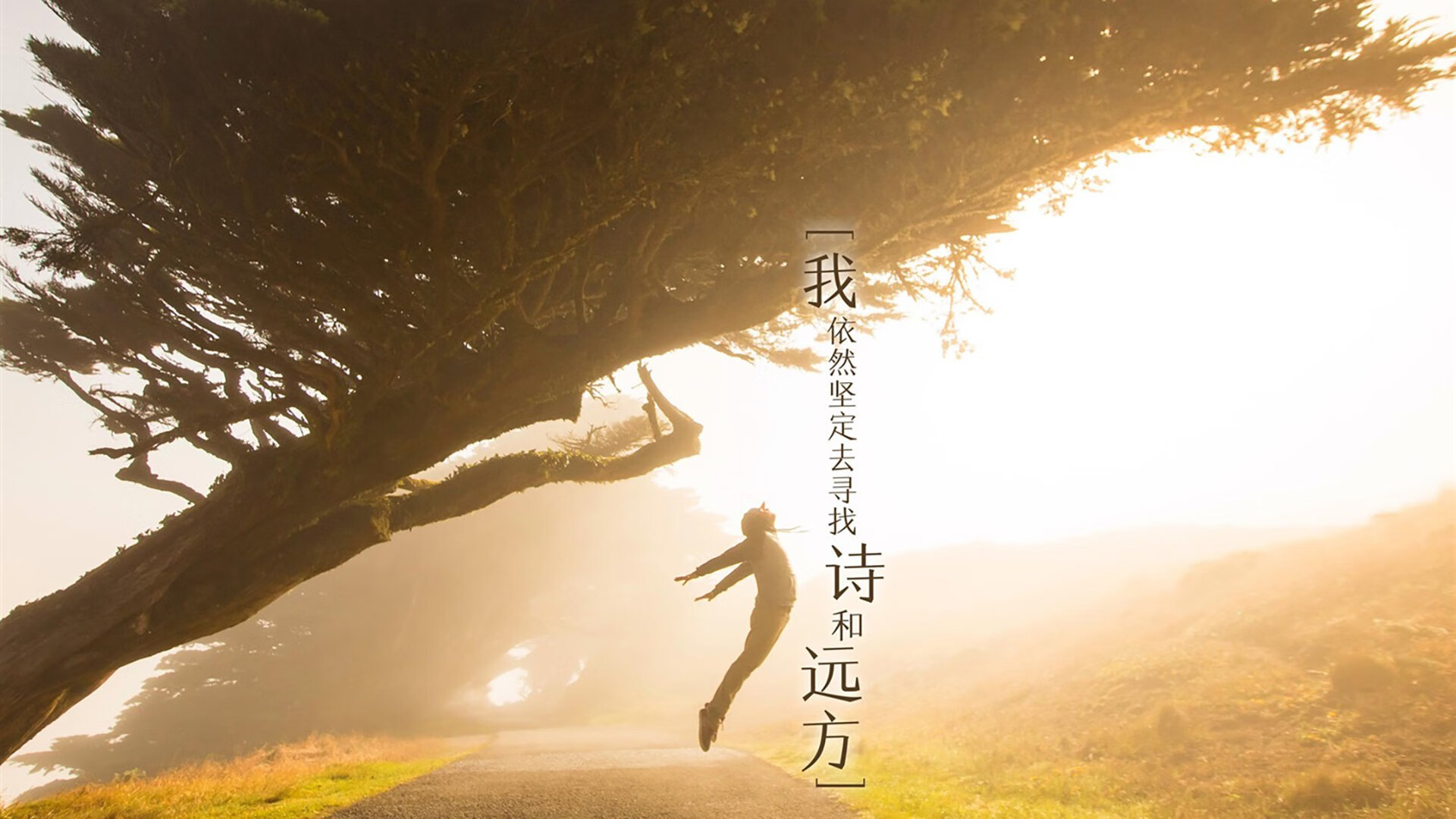 基达菲主场战平赫塔菲，争取三分未果，基达什么意思