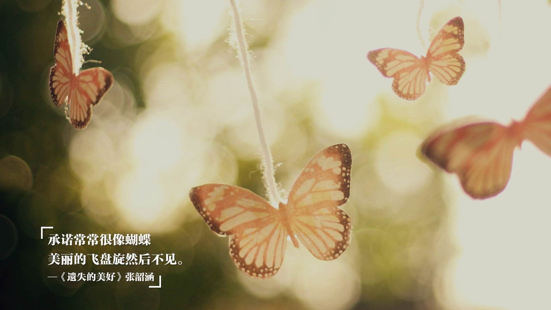 女足国家队技战术水平提升显著，女足国家队集训名单