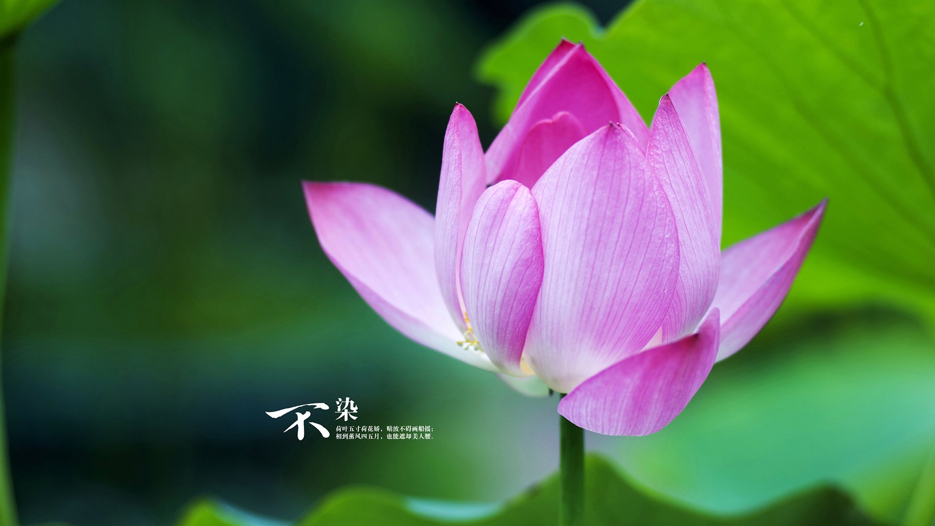 女足世界杯环保理念推广，女足世界杯媒体关注空前,但女性足球记者仍面临障碍