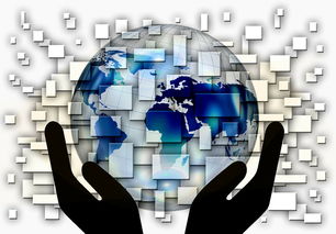 kaiyun xiazai-中国篮球教练员战术创新与应用案例分析，篮球教练基本战术