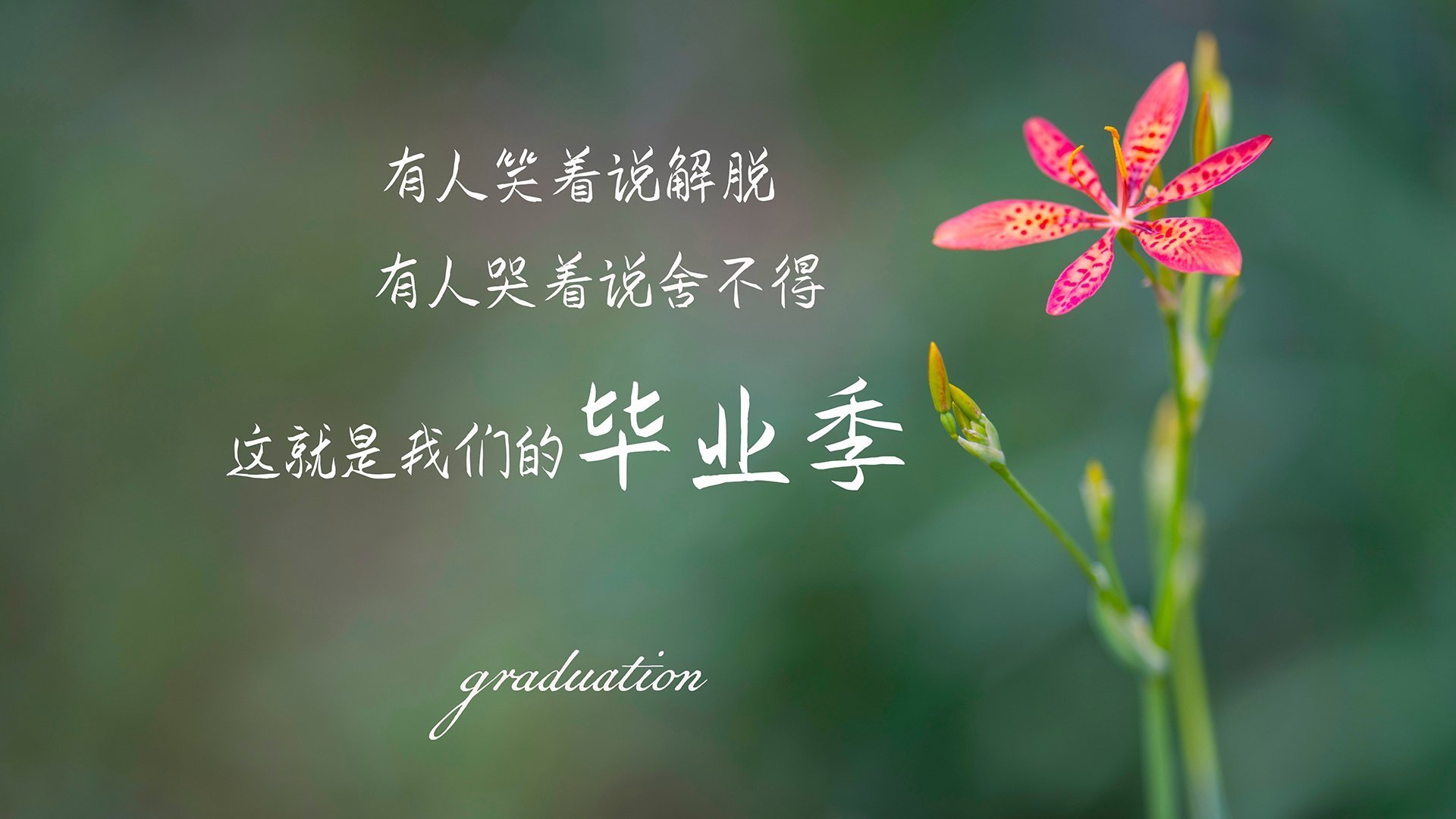 开云体育平台APP-意甲裁判VAR语言提示系统减少多语境误解率