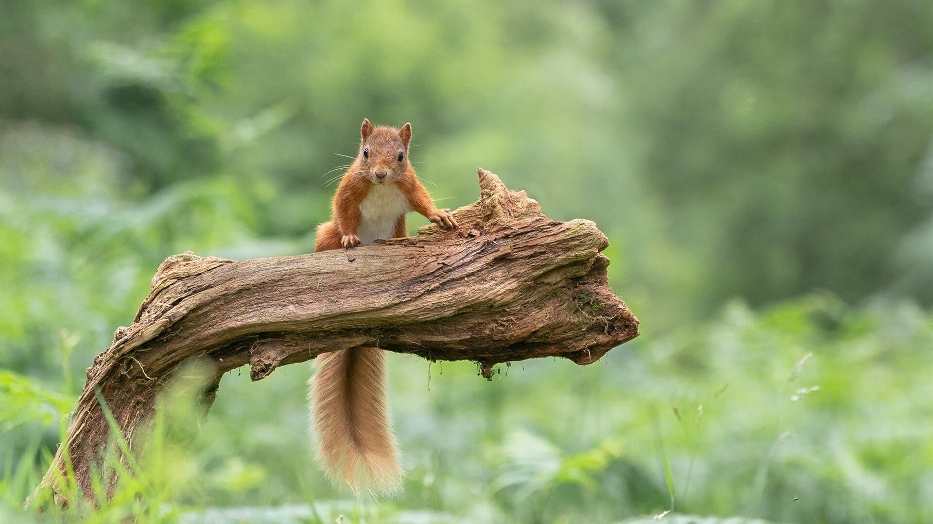 高校运动损伤防控体系建设成效评估，运动损伤防护培训班