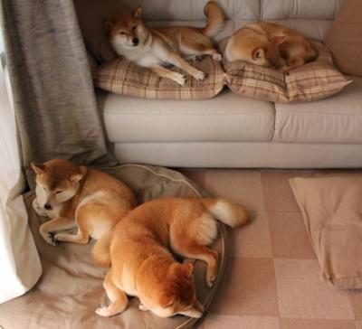 kaiyun-东亚杯中国足球战胜 球员展现团队力量，东亚杯国足大名单