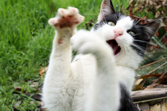 国际热身赛国家队爆冷 球迷讨论战术调整,国际热身赛直播